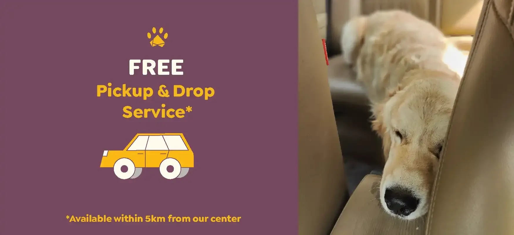 Free Pick up and Drop service to avoid mess of Home grooming and hassle of Mobile Van Parking